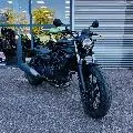 Eliminator 500