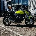 CB 600 F HORNET
