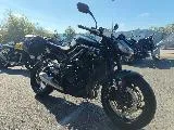 STREET TRIPLE 765 R