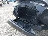 SPYDER RT