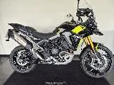 TIGER 900 RALLY PRO