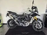 TIGER 900 RALLY PRO