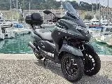 TRICITY 300