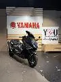 XP TMAX 530 IRON MAX