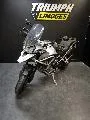 TIGER 1200 GT PRO