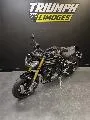 SPEED TRIPLE 1200 RS