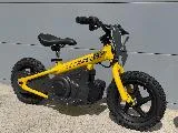 MINI 12P