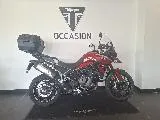 Tiger 900 GT PRO