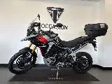 TIGER 900 RALLY PRO