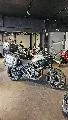 TIGER 1200 GT PRO