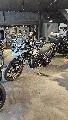 Tiger 900 GT PRO