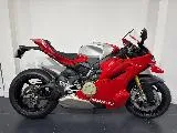 paniogale v4 r