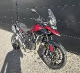 Tiger 900 GT Pro A2