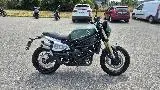 LEONCINO 800 T
