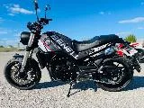 LEONCINO 500