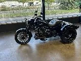 TRIKE FREEWHEELER 1745