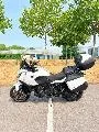 NT 1100