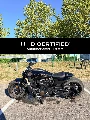 SPORTSTER 1250 S
