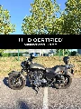SPORTSTER CUSTOM 1200