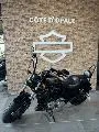 SPORTSTER 1200 XL