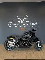 SOFTAIL FAT BOB 1868