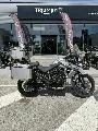 TIGER 800 XRX