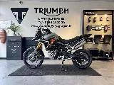 TIGER 900 Desert Edition