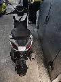 BEVERLY 300