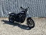 SPORTSTER 883