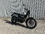 INTERCEPTOR BEAR 650