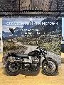 STREET SCRAMBLER 900