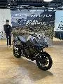 TIGER SPORT 800