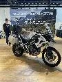 TIGER 1200 RALLY PRO