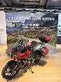 TIGER SPORT 660