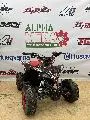 PIT BIKE