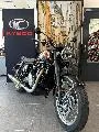 Gold Star 650 SP