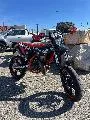 RR 50 SPORT