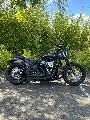 SOFTAIL STREET BOB 1745