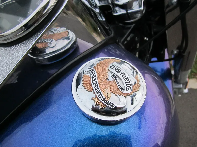1584 SOFTAIL FAT BOY FLSTF