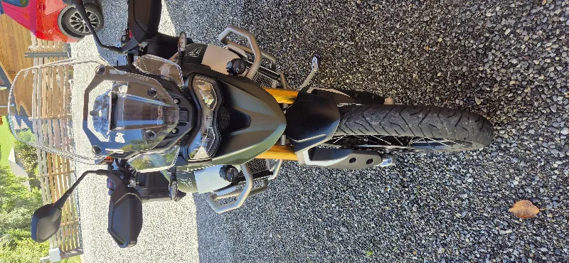 Tiger 900 Rally Pro