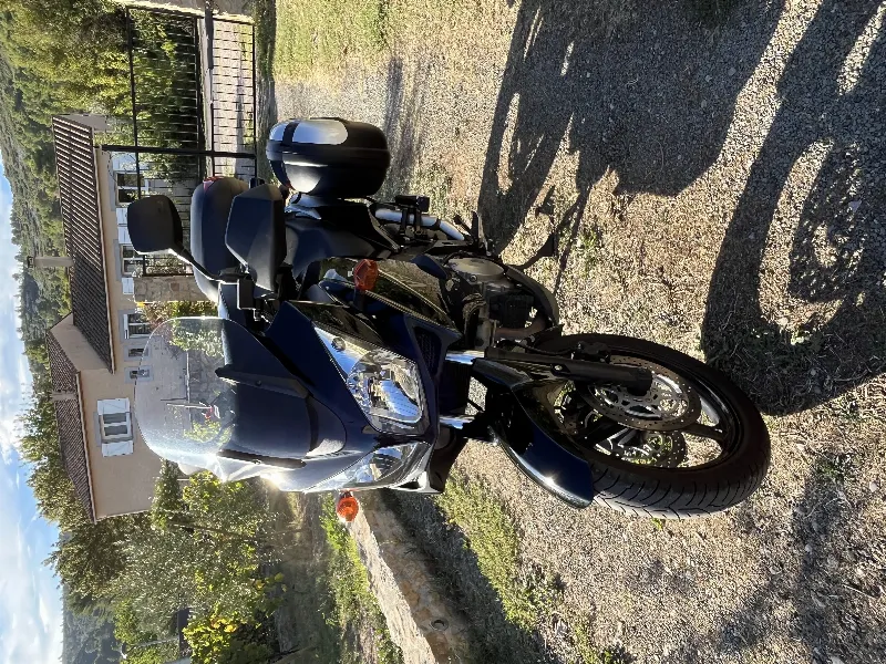 DL 1000 V-STROM