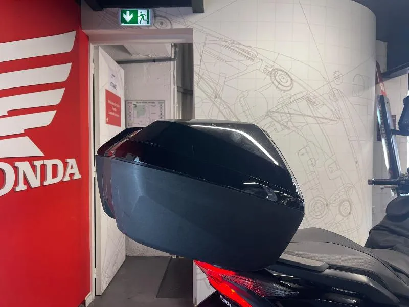 NSS FORZA 300