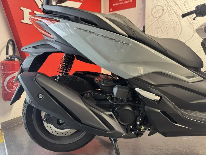 NSS FORZA 350