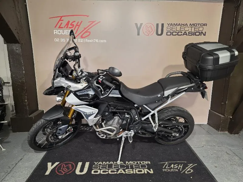 TIGER 900 RALLY PRO