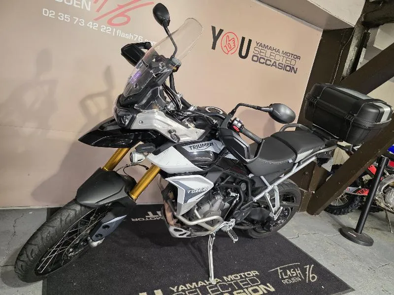 TIGER 900 RALLY PRO