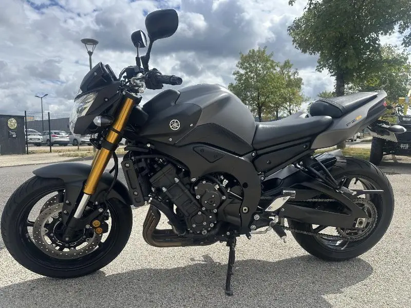 FZ8