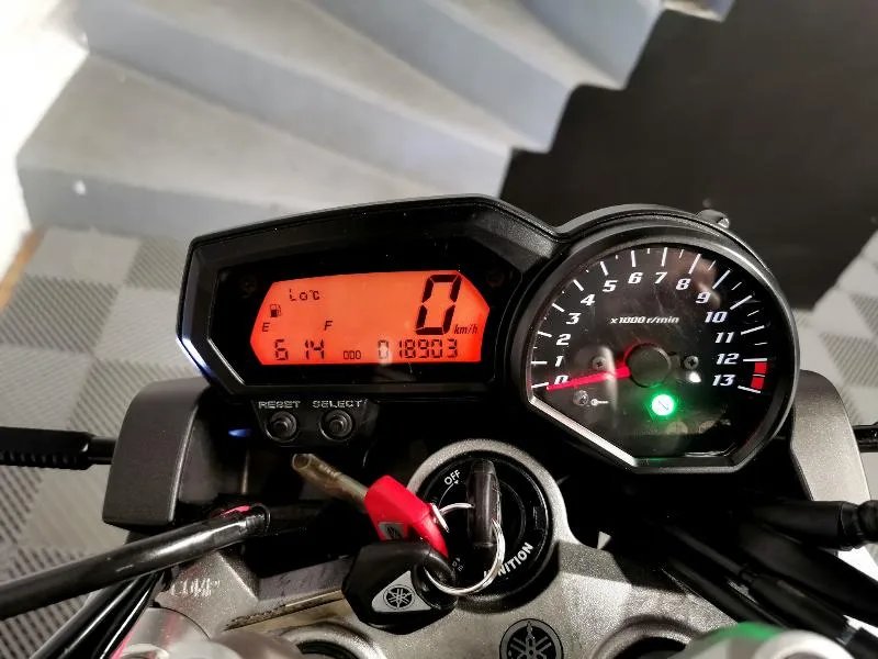 FZ1