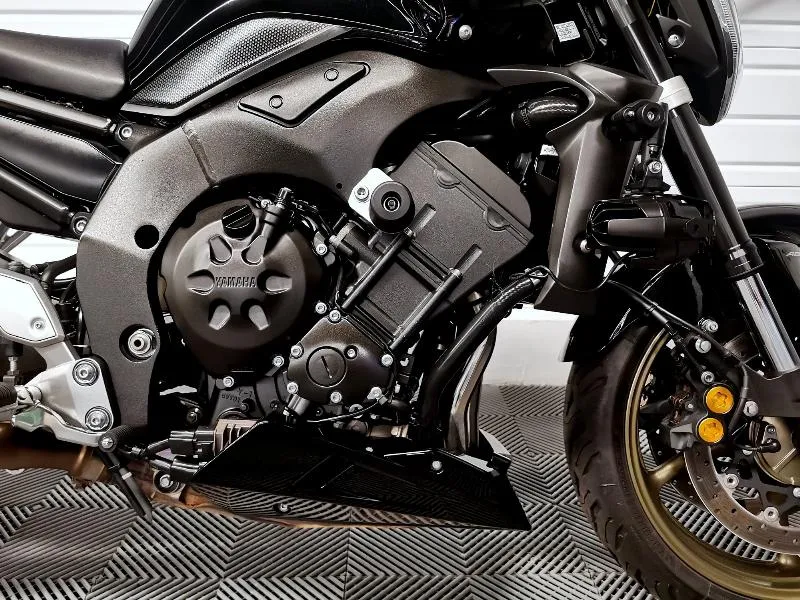 FZ1
