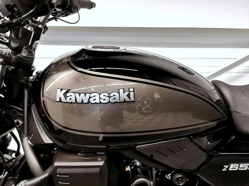 Z650 RS