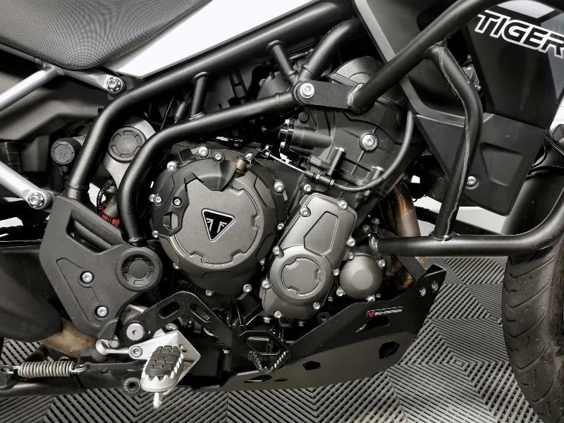 Tiger 900 GT PRO